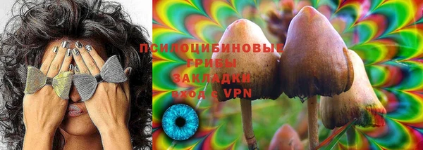 apvp Балахна