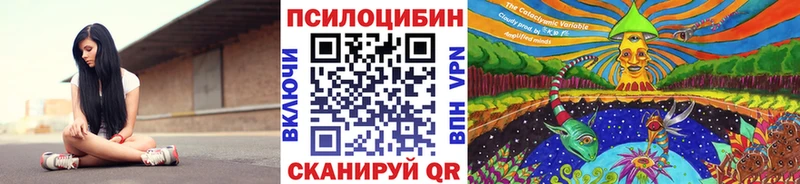 Галлюциногенные грибы Psilocybine cubensis Белоярский